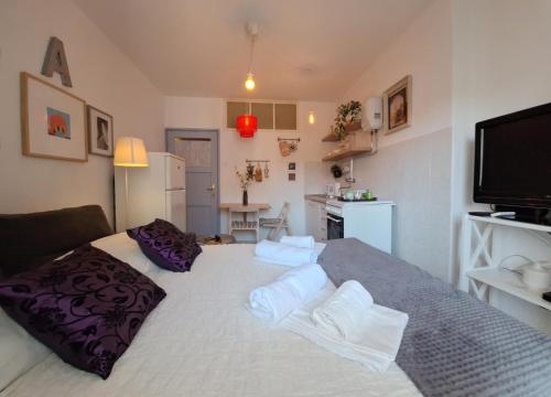 Perfect Location Split Center Apartments