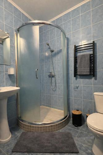 a bathroom with a shower and a toilet at Mohh prostir vidpochinky in Mohnate