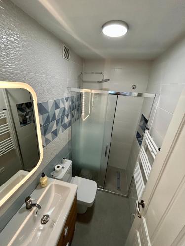 a bathroom with a shower and a toilet and a sink at Balcón Néstor Álamo I in Tejeda