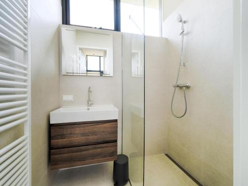 a bathroom with a sink and a glass shower at Leiden in Oud-Ade