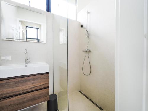 a bathroom with a shower and a sink at Polder in Oud-Ade