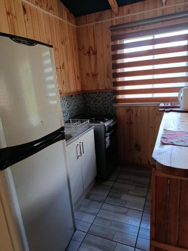 a kitchen with a refrigerator and a stove at cabaña zoila ch in Coñaripe