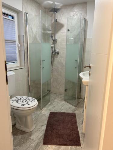 a bathroom with a toilet and a glass shower at Bergblick in Saupsdorf