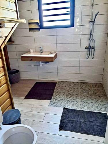 a bathroom with a sink and a shower at Ti Caz Bana in Le Tampon