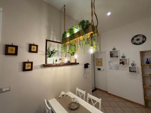 Foto Sweet Home QuiSiSana 1