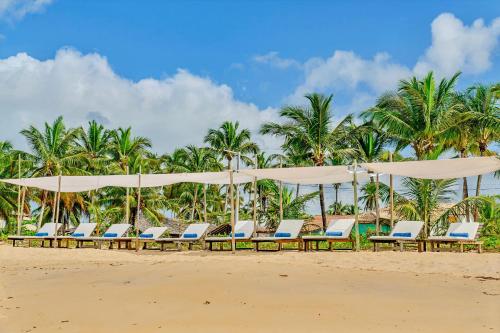 a row of chairs and umbrellas on a beach at Casa Mandala Corumbau in Corumbau
