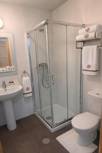 a bathroom with a shower and a toilet and a sink at El Mensario in Campisábalos