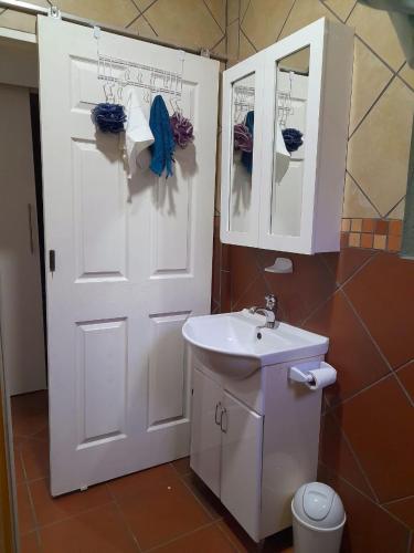 a bathroom with a white door and a sink at Stadion Sleepover Cabin in Sasolburg