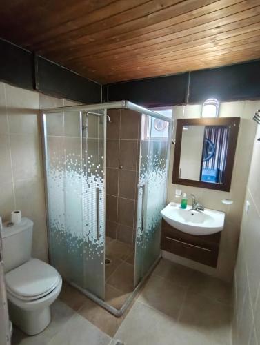 a bathroom with a shower and a toilet and a sink at Sand Rose Camp - Wadi Rum in Wadi Rum