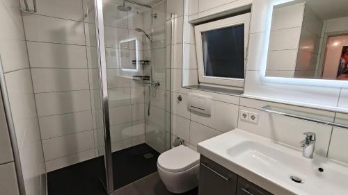 a bathroom with a shower and a toilet and a sink at Ferienwohnung Waldblick in Allensbach