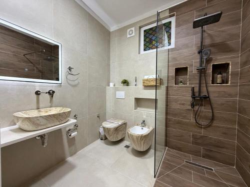 a bathroom with a shower and a sink and a toilet at Hotel Boutique Ergjeria in Gjirokastër