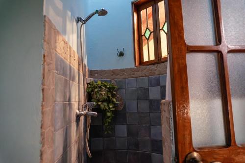 a bathroom with a shower and a window at Montezuma Heights in Montezuma