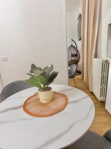 a plant sitting on top of a white table at Onny's Palace in Bari