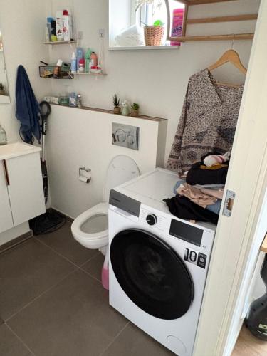 a washing machine in a bathroom with a toilet at Rolig base under smukfest in Skanderborg