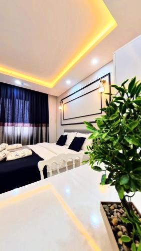 a hotel room with two beds and a potted plant at PRETTY HOUSE in Pamukkale