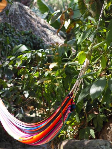 a colorful hammock hanging from a tree at Eco-Hotel Mayachik in San Juan La Laguna