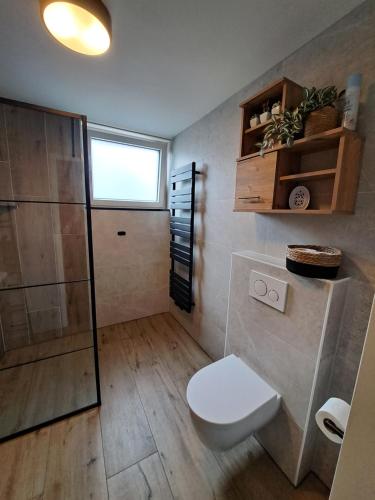 a bathroom with a toilet and a shower at AgterdeKoog in De Koog