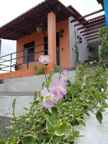 a plant with pink flowers in front of a house at Chalés Flor de Mandacaru in Monte das Gameleiras