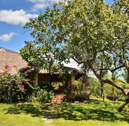 a house with a tree in front of it at POUSADA e HOSTEL SÍTIO PARAÍSO DO CAJU in Barreirinhas