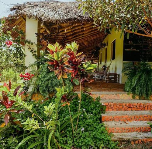 a small house with a thatch roof and stairs to it at POUSADA e HOSTEL SÍTIO PARAÍSO DO CAJU in Barreirinhas