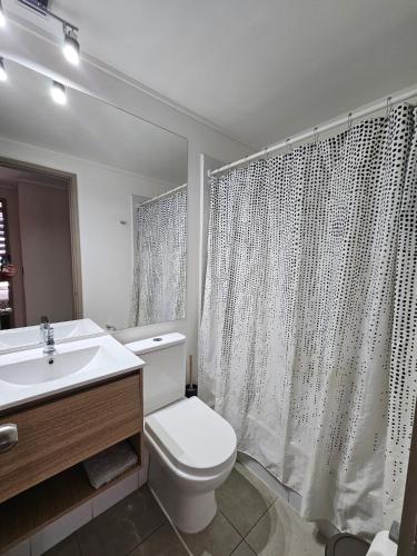 a bathroom with a toilet and a sink and a shower at Apartamento Los Andes II in Los Andes