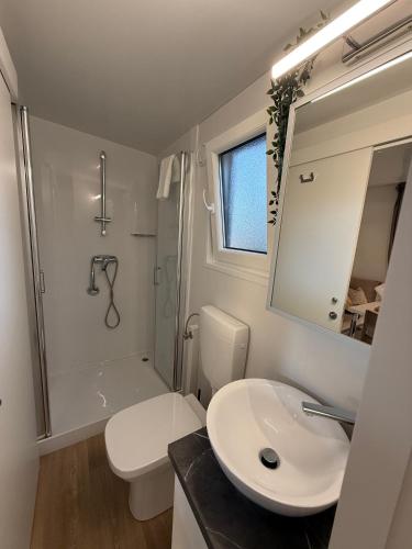 a bathroom with a sink and a toilet and a shower at GoLD mobile homes D&L in Biograd na Moru