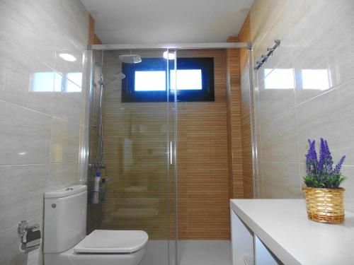 a bathroom with a shower with a toilet and a sink at Piso ESPAZ in Isla de Arosa