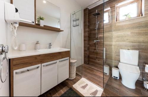 a bathroom with a shower and a sink and a toilet at Aqualux apartments in Vrdnik