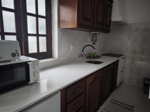 a kitchen with a sink and a microwave at Apartamento Rosa in Porto Covo