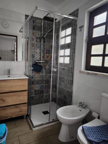 a bathroom with a shower and a toilet and a sink at Apartamento Rosa in Porto Covo