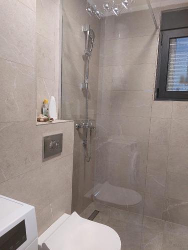 a bathroom with a shower and a toilet at Aria Apartmani in Podgorica
