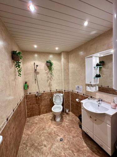 a bathroom with a toilet and a sink at Radetsky Apartment with FREE Private Parking in Haskovo