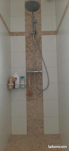 a shower in a bathroom with a tile wall at Suite parentale chez Mathilde in Basse-Goulaine