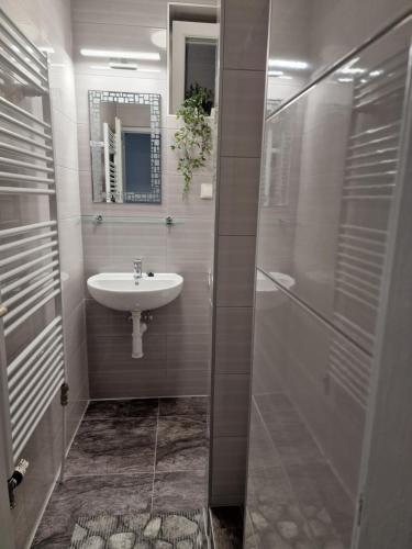 a bathroom with a sink and a shower at Penzion Lea in Diakovce