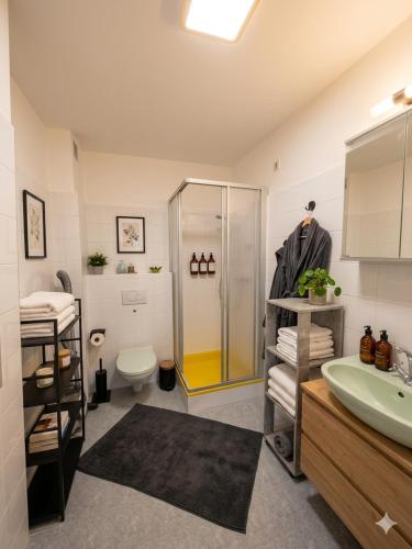 a bathroom with a shower and a sink and a toilet at Rax-Basecamp 24 in Reichenau