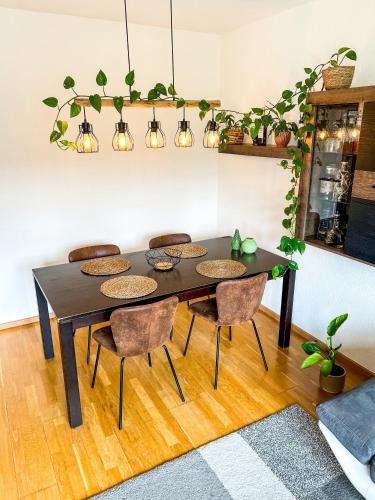 Cozy room in shared apartment next to the Aare