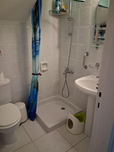 a bathroom with a shower and a toilet and a sink at Villa Clementinka - 200 meters from the sea in Khlorakas
