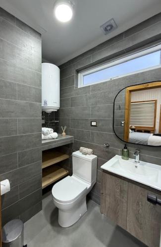 a bathroom with a toilet and a sink and a mirror at alojamiento Santa Rosa 744 in Puerto Varas