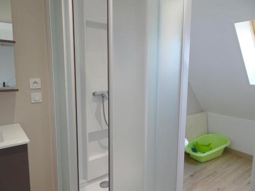 a bathroom with a shower and a toilet in a room at Stone House in Bricqueville near Sandy Beach in Bricqueville-sur-Mer