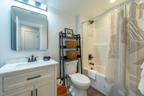 a bathroom with a sink and a toilet and a shower at Roam Inn in Black Mountain