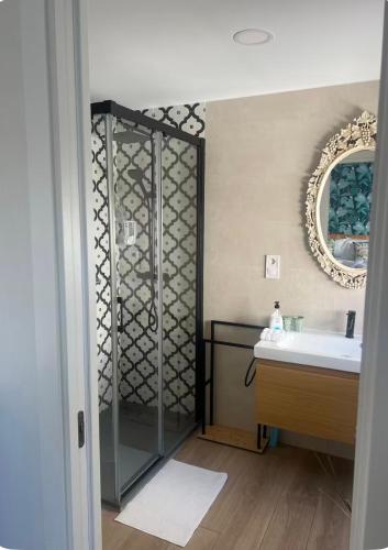 a bathroom with a shower and a sink and a mirror at Amazonia in Coslada