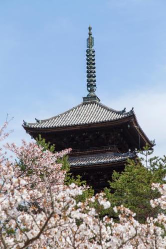 a pagoda with a flowering tree in front of it at Urban Hotel Kyoto in Kyoto