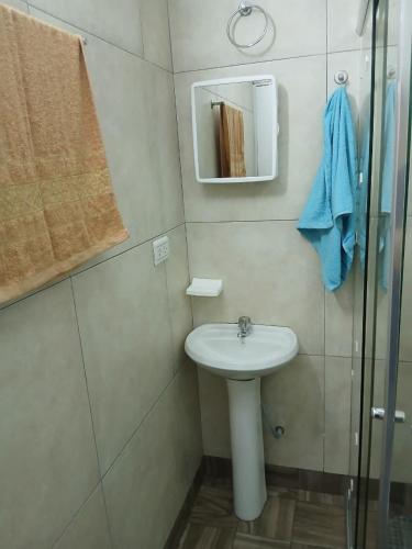 a bathroom with a sink and a shower and a mirror at departamento luck in Puerto Iguazú