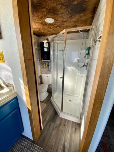 a bathroom with a shower and a toilet at Blue Moose Cabin at Moose Tracks Lodging in Kenai