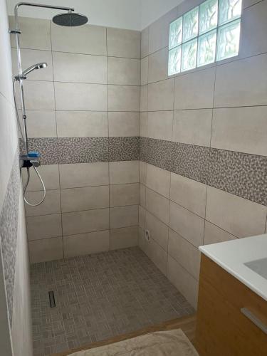 a bathroom with a shower and a sink at L'échappée de Bras Long in Entre-Deux
