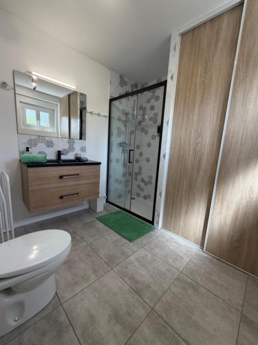 a bathroom with a shower and a toilet and a sink at Gite Matilon, 5 min Eugénie les Bains in Buanes