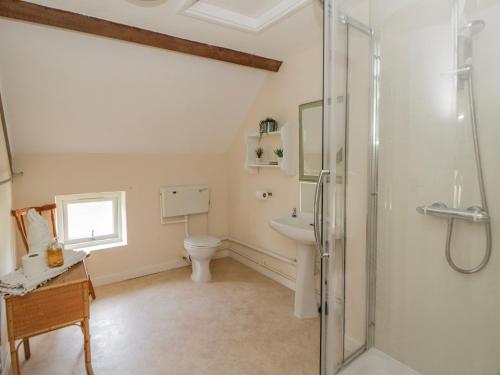 a bathroom with a shower and a toilet and a sink at Gardener's Cottage in Llandrindod Wells