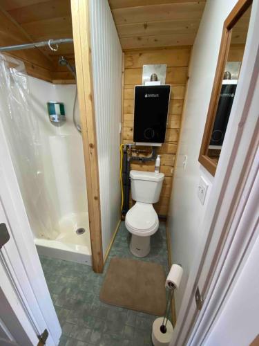 a small bathroom with a toilet and a television at Rustic Moose Cabin at Moose Tracks Lodging in Kenai
