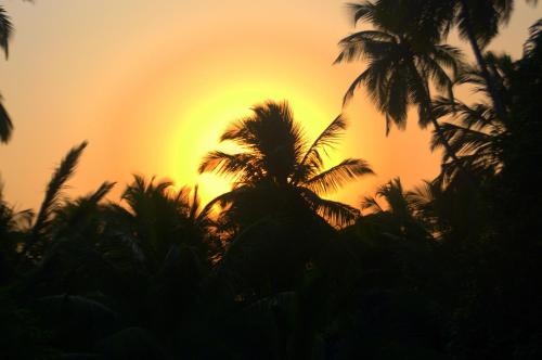 Blick auf den Sonnenuntergang/Sonnenaufgang von der Pension aus oder aus der Nähe