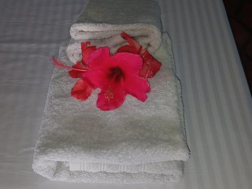 a pink flower sitting on top of white towels at VILLA Paradisakely in Nosy Be